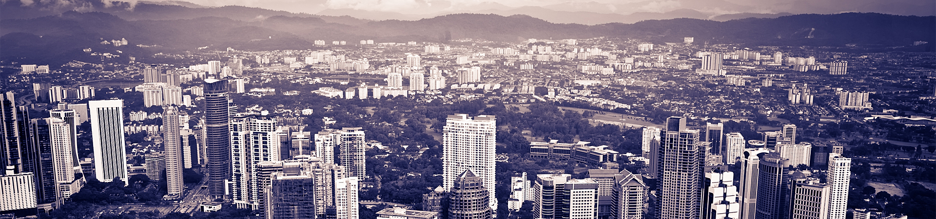 Web漏洞扫描工具